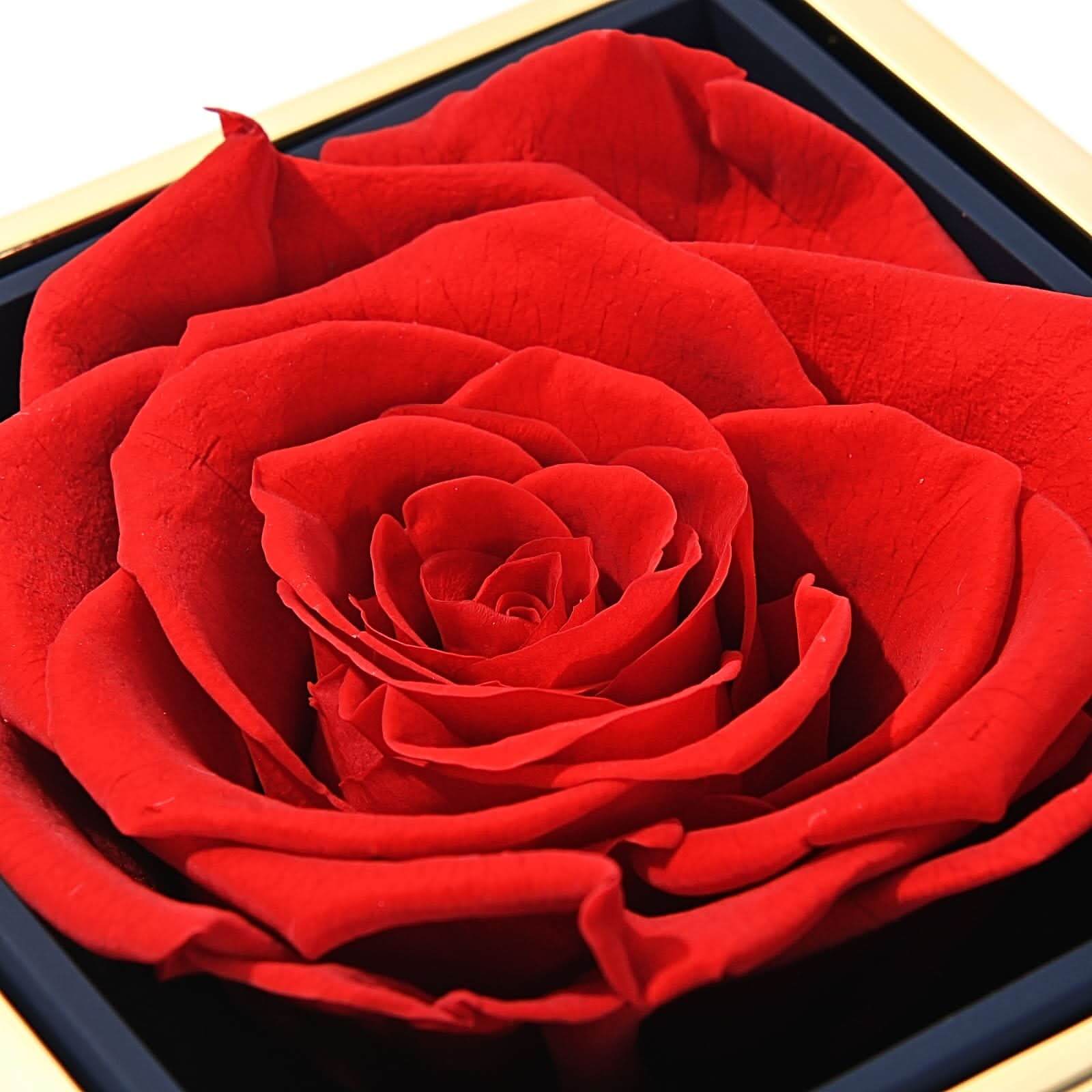 Eternal Rose Gift Box: Custom Engraved Heart Necklace & Preserved Real Rose